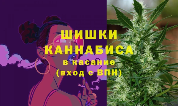 прущие грибы Верхнеуральск